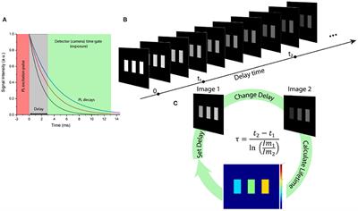 Real-Time Imaging of Short-Wave Infrared Luminescence Lifetimes for Anti-counterfeiting Applications